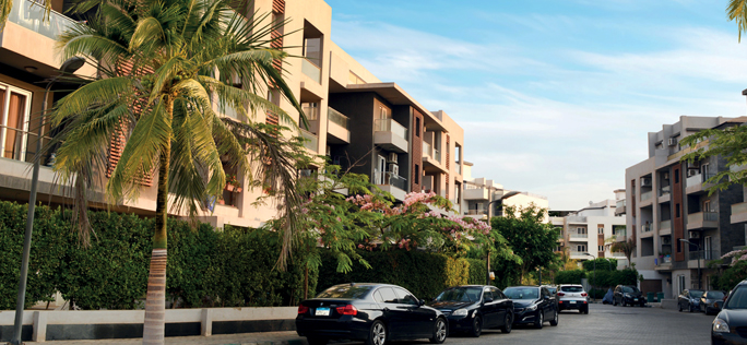 Zayed Complex